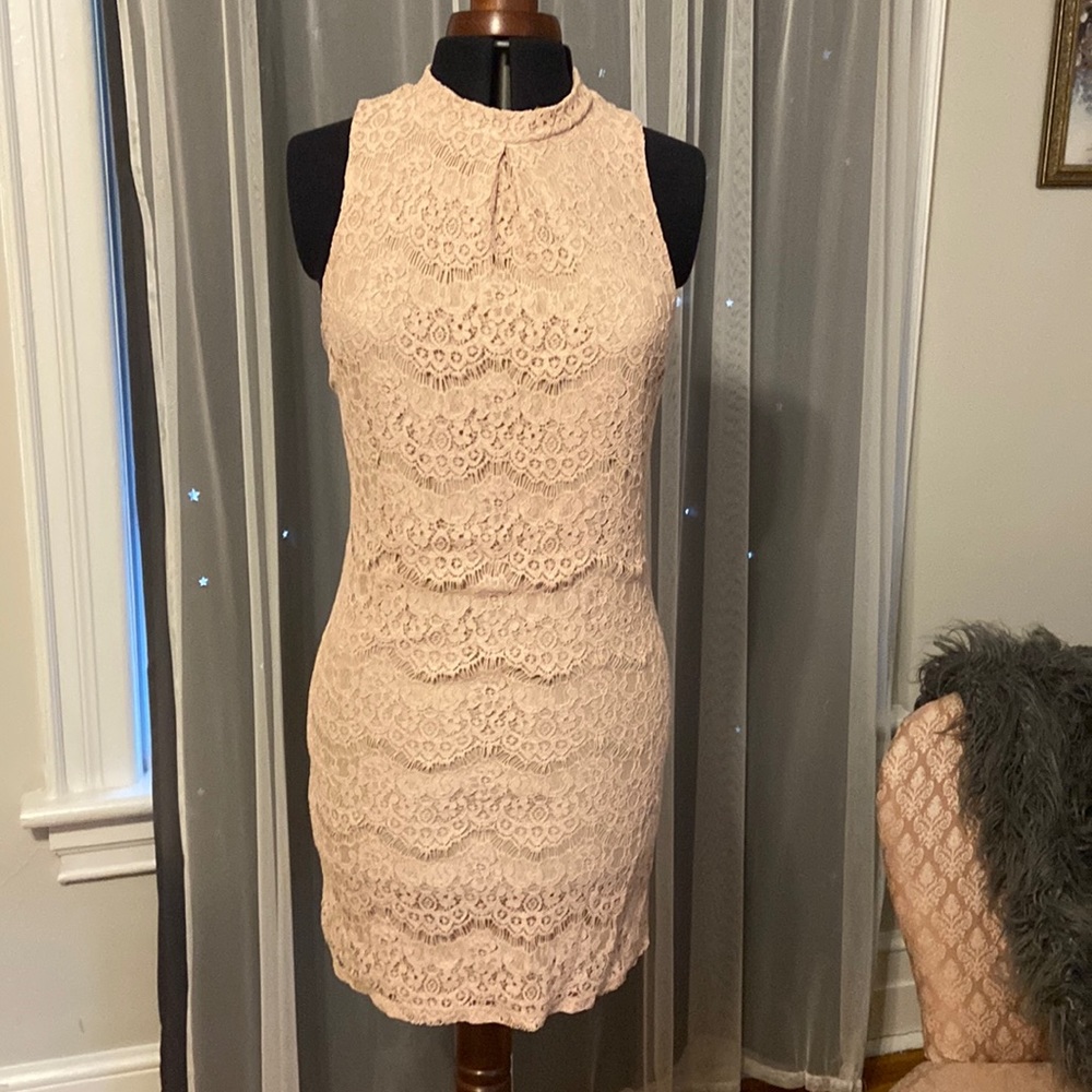 Lace Blush Pink Dress